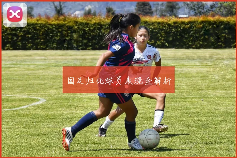 国足归化球员表现全解析
