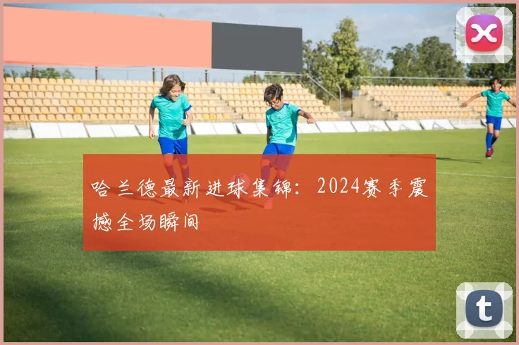 哈兰德最新进球集锦:2024赛季震撼全场瞬间
