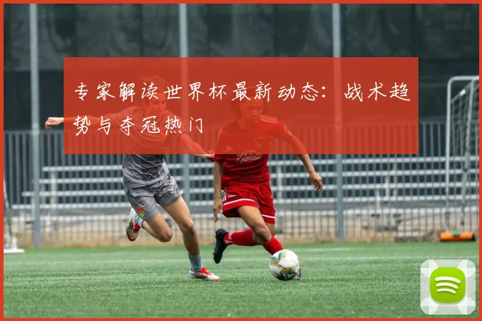 专家解读世界杯最新动态：战术趋势与夺冠热门