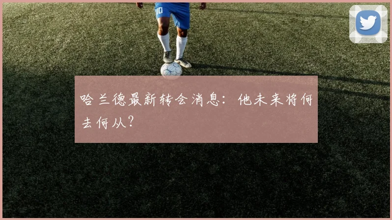 哈兰德最新转会消息：他未来将何去何从？